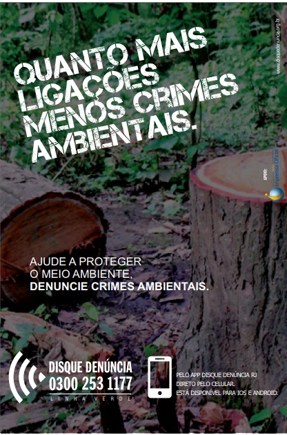 Polícia ambiental constata corte ilegal de árvores em estabelecimento localizado em Niterói